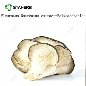 Экстракт бета-глюкана плеврута остреата, Экстракт устричных грибов - Product Image 4