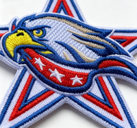 Patchs thermocollants personnalisés brodés motif étoile florale, écologiques et lavables, motifs patriotiques Américana rouge, blanc, bleu pour chapeaux, vestes et sacs