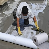 Résistant à la traction 10cm Polyester Tissu Polyester Membrane d'étanchéité Matériau Revêtement imperméable pour toit en béton