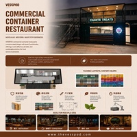 Maison conteneur modulaire de luxe de style européen Maison préfabriquée et armoires de cuisine en acier pour usage en magasin