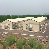 Poulailler préfabriqué en structure acier sur mesure pour ferme, avec support renforcé et barrière imperméable, espace stable pour l'élevage quotidien de la volaille