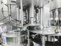 Ligne de production complète de machines de remplissage à chaud automatiques pour petites bouteilles PET de jus de fruits - Prix
