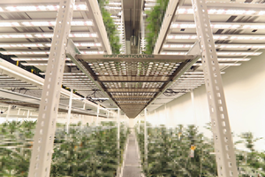 Agricultural <strong>Greenhouses</strong> Mobile <strong>Shelving</strong> Systems Hydroponic Shelves &amp; Rack - Product Image 3