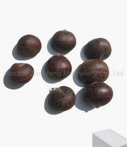 Grosir pemotong kastanye Korea mesin pengolahan kastanye listrik kecil - Product Image 2