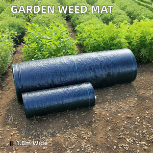 Trung Quốc bán buôn tùy chỉnh-kích thước 90gsm-120gsm PP Weed Mat rào cản dệt nhựa mulch chống UV vải với bản vẽ dịch vụ xử lý - Product Image 3