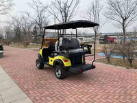 Carrito de Golf Eléctrico de Litio de 6 Plazas con Pantalla Digital LCD, Envío Rápido, Vehículo Utilitario Todoterreno, Directo de Fábrica