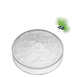 مستخلص الفاكهة من النوع Saw Palmetto المستخلص من مصنع المورد بودرة حمض الدهون بنسبة 25% و45% مستخلص النوع Saw Palmetto - Product Image 2