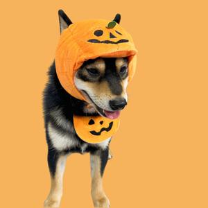 2025 Halloween calabaza fantasma gato perro mascota pañuelos lindo algodón babero especias toalla con patrón sólido accesorios de temporada de invierno - Product Image 4