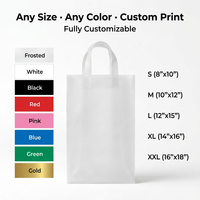 Sac en plastique givré personnalisé avec logo de marque et poignée souple pour boutique de vêtements, magasin de cosmétiques, emballage de vente au détail