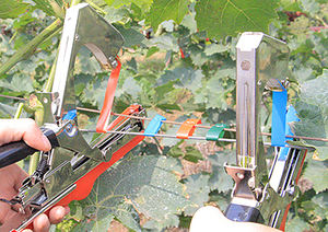 Outil de jardinage DIY durable en acier allié, machine à lier manuelle avec poignée en plastique pour le cerclage des légumes et des fruits - Product Image 6