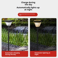 Lumière principale de pilier solaire petit éclairage extérieur imperméable IP65 LED coloré à télécommande Dimmable Garden Villa
