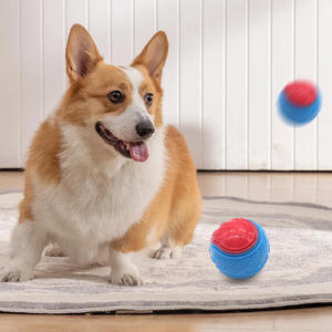 Nuovo prodotto in gomma da 6.5cm resistente palla da Tennis <span class=keywords><strong>Squeaky</strong></span> <span class=keywords><strong>Dog</strong></span> palle giocattoli da masticare per animali domestici allenamento interattivo per la pulizia dei denti - Product Image 3