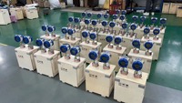 Petit débitmètre à engrenages en acier inoxydable pour liquides à haute viscosité, mesure l'eau et l'huile, OEM 316L, personnalisation prise en charge, précision 0,5%