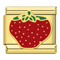 Hapiship Vente en gros Vente en gros Caractéristiques uniques Papillon doré Fraise Tulipe Modules en vrac Acier inoxydable Charme italien DJ1543