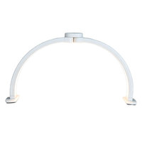 Lampe de bureau pliable en aluminium pour soins des ongles, avec interrupteur à pression manuel, dédiée aux salons de beauté, lampe à spectre complet de forme incurvée