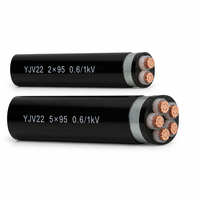 Câble d'alimentation blindé en cuivre XLPE YJV22 2*95mm² 2*120mm² 0,6/1kV avec gaine en PVC blindée à bande d'acier pour connexion de transformateur