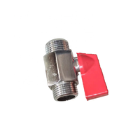 Vanne à boisseau sphérique personnalisée, manuelle, 2 voies, pour gaz et eau, double filetage mâle, mini, en bronze poli, 1/2''-4''