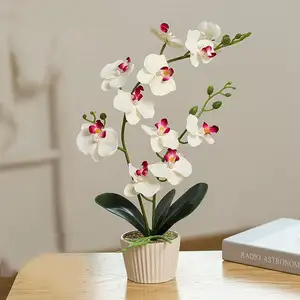 Bán hàng nóng phalaenopsis hoa lan chậu cây nhân tạo Bướm Phong Lan Bonsai cho trang trí nội thất