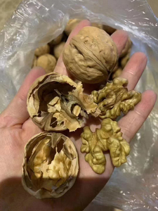 He tao cina prezzi economici all'ingrosso <span class=keywords><strong>noce</strong></span> secca grezza con guscio frutta intera noci per snack - Product Image 3