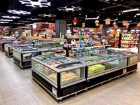 Grande fenêtre congélateur supermarché réfrigérateur congélateur commercial