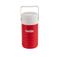 Mini glacière isotherme en PP/PE 1L |   Garde les boissons glacées pendant 36 heures |   Étanche et portable pour la randonnée, le camping et le vin