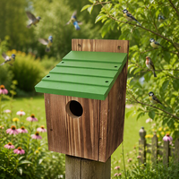 Mangeoire à oiseaux murale tendance pour jardin, en bois massif carbonisé écologique, design à toit incliné noir, pour oiseaux sauvages de pelouse et de jardin