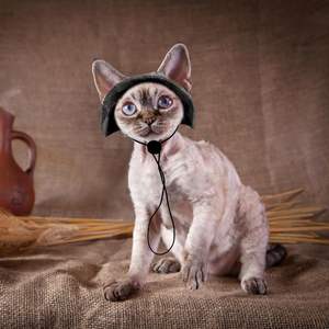 Sombrero con Orificio para las Orejas, Mini Sombrero de Sol para Gatitos, Gorra de Vaquero para Mascotas, <span class=keywords><strong>Chihuahua</strong></span>, Gorra para Escalar al Aire Libre, Sombreros para Fiestas de Cumpleaños, Halloween - Product Image 4