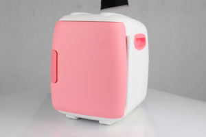 Groothandel Prijs Persoonlijke Huidverzorging Product Opslag <span class=keywords><strong>5l</strong></span> <span class=keywords><strong>Mini</strong></span> Koelkast In Nepal - Product Image 2