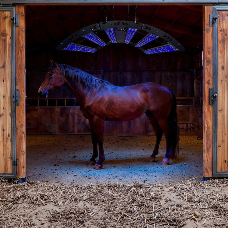 Pet Horse Care Adjustable Multi Spectrum