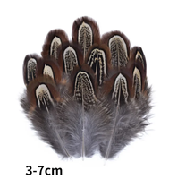 Plumes de faisan naturelles en gros, plumes de paon, petites plumes d'aigle, accessoires d'artisanat, création de bijoux, décoration de fêtes