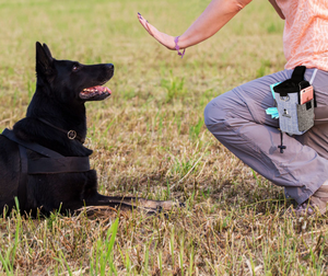 BANABA CE tas makanan anjing Oxford portabel bersertifikasi untuk membawa hewan peliharaan perjalanan latihan berjalan - Product Image 5