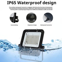 DC 12V 24V AC 100-277V IP65 Réflecteur Projecteur Lampe 30W 50w 100w 150w 200w 300w 400w 500w Projecteur Led Extérieur