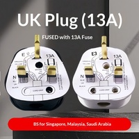 Prise standard britannique 13A 250V avec certification ASTA, adaptateur de prise électrique britannique à 3 broches BS1363, modèle d'exportation très vendu