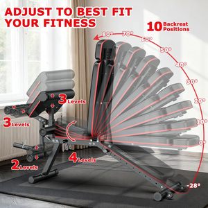 Banco de Pesas Ajustable CZFIT para Gimnasio en Casa y Banco para Abdominales para Entrenamiento de Fuerza, Categoría de Producto: Bancos y Soportes - Product Image 3