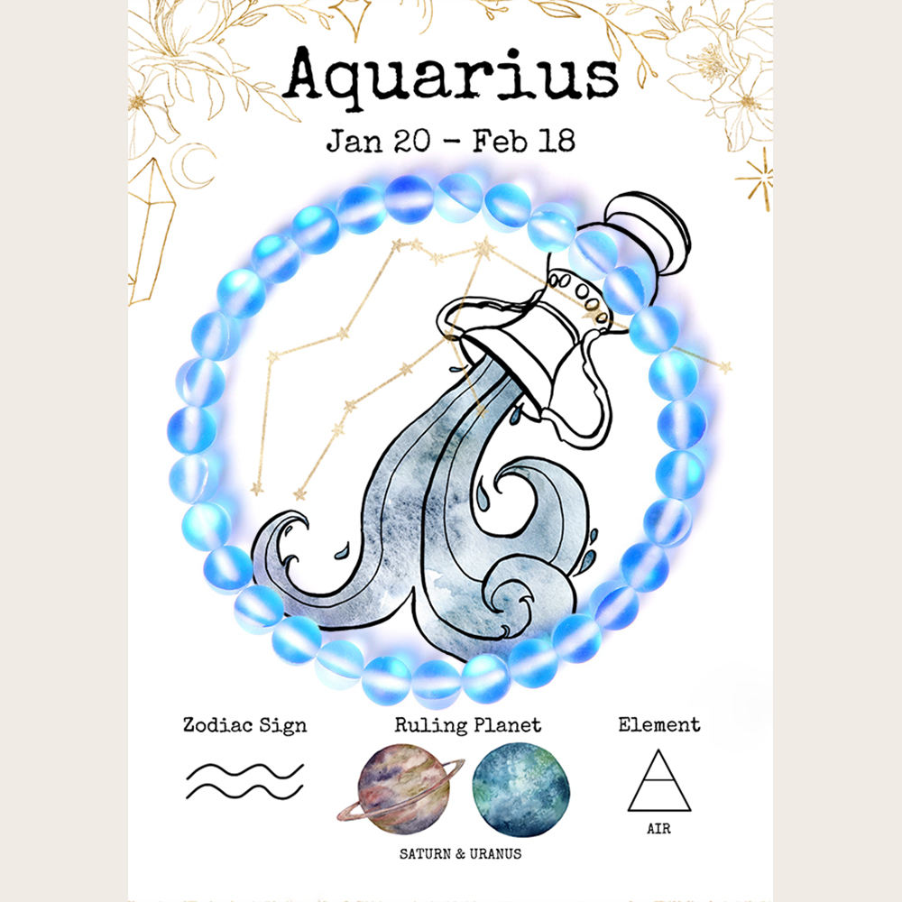 BR240043-6   บีอาร์240043-6