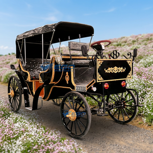 Charrette royale classique de luxe haut de gamme unique, charrette électrique de tourisme européenne, buggy de tourisme équestre de qualité supérieure - Product Image 1