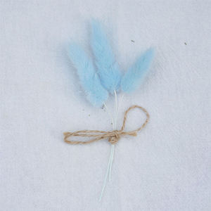 Flor seca MixedSmall Daisy Crisantemo Manzanilla Rodanto Flor - Product Image 6