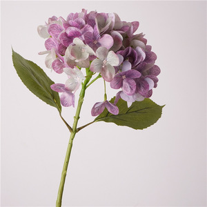<span class=keywords><strong>Meetyou</strong></span> Modèle 100 Fleur artificielle en soie Hortensia Corail Magique à toucher réel, Décoration douce nordique pour la maison et l'hôtel, Mariage, Bonsaï - Product Image 3