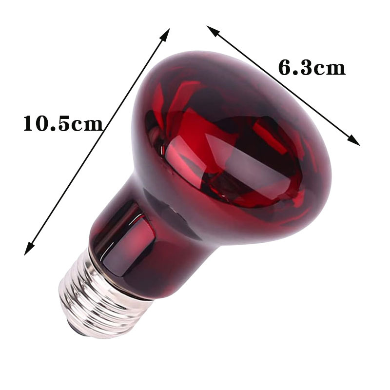 R63 110ve27 infrarouge 60w
