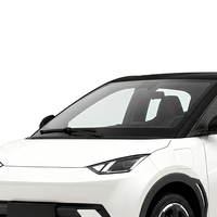 BYD Seagull Mini EV Atto 1 d'occasion 2025, autonomie NEDC 405 km, batterie 30,08 kWh, prix bas, export