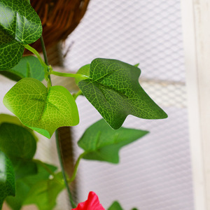 Artificial Morning Glory Wall Hanging Plastic Silk Flower Indoor Decoration High Simulation <b>Leaves</b> - Product Image 2
