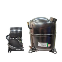 CE Harga murah kualitas tinggi asli 1Hp Compressor R404A 220V 60HZ kompresor kulkas untuk pendingin Freezer
