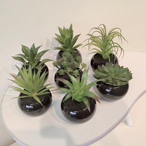 Bonsái Artificial de <span class=keywords><strong>Mango</strong></span> de Invierno, Suculenta Negra de PVC Suave con Plato, Decoración para el Hogar, Oficina, Escritorio, Mini Adorno, Altura 10-17cm, Múltiples Unidades - Product Image 2