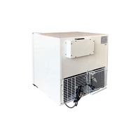 55L Congélateur armoire Unique Porte En Verre Mini Bar Ice Cream Affichage Congélateur SD-55
