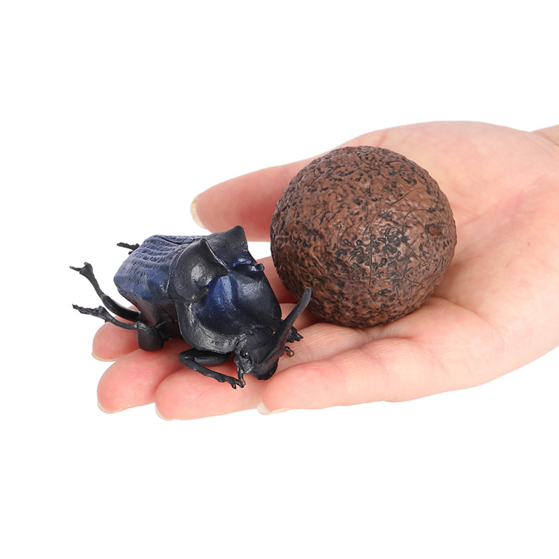 2915 Scarafaggio della cacca