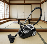 Aspirateur électrique multifonction super puissant pour la maison, aspirateur à sac, 220V ABS avec sac