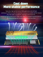 PUSKILL PCIe 3.0 NVMe M.2 SSD 128GB-2TB Internal Solid State Drive Grosir Perdagangan Cina untuk PC Laptop