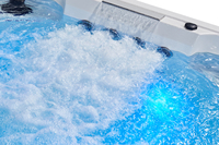 Massage sexy Spa Piscine Usine de Chine Machine de massage pour animaux de compagnie Piscine Jets Spa Bain chaud