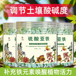 Engrais granulaire au sulfate ferreux 360g pour l'ajustement du pH du sol et les plantes vertes - Product Image 4