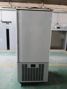 Kolice CE 15 Trays Piper Servolift Storage Blast Chiller Shock Freezer /blast Freezer/blast Chiller for Gelato - Product Image 5